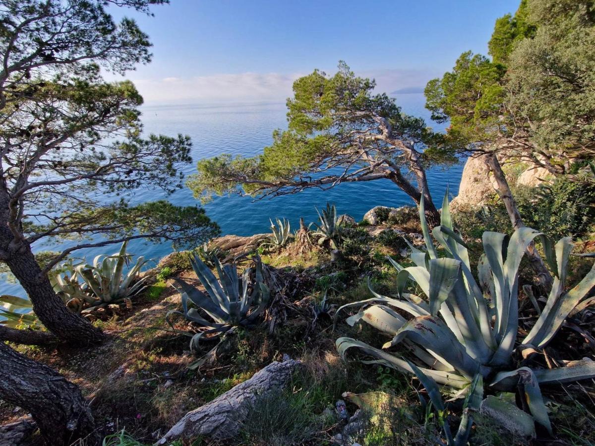 Apartment Villa Mirna Makarska Exterior foto