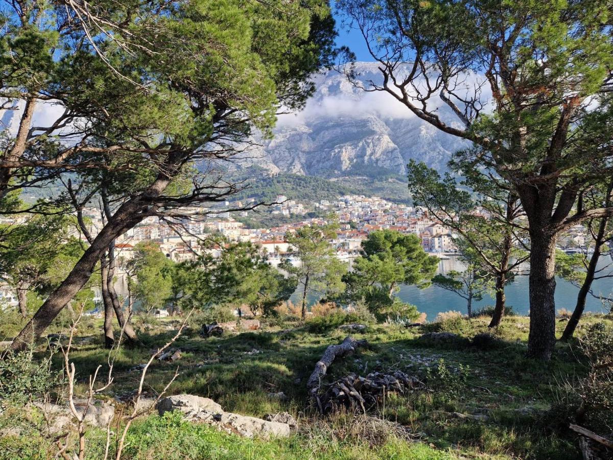 Apartment Villa Mirna Makarska Exterior foto