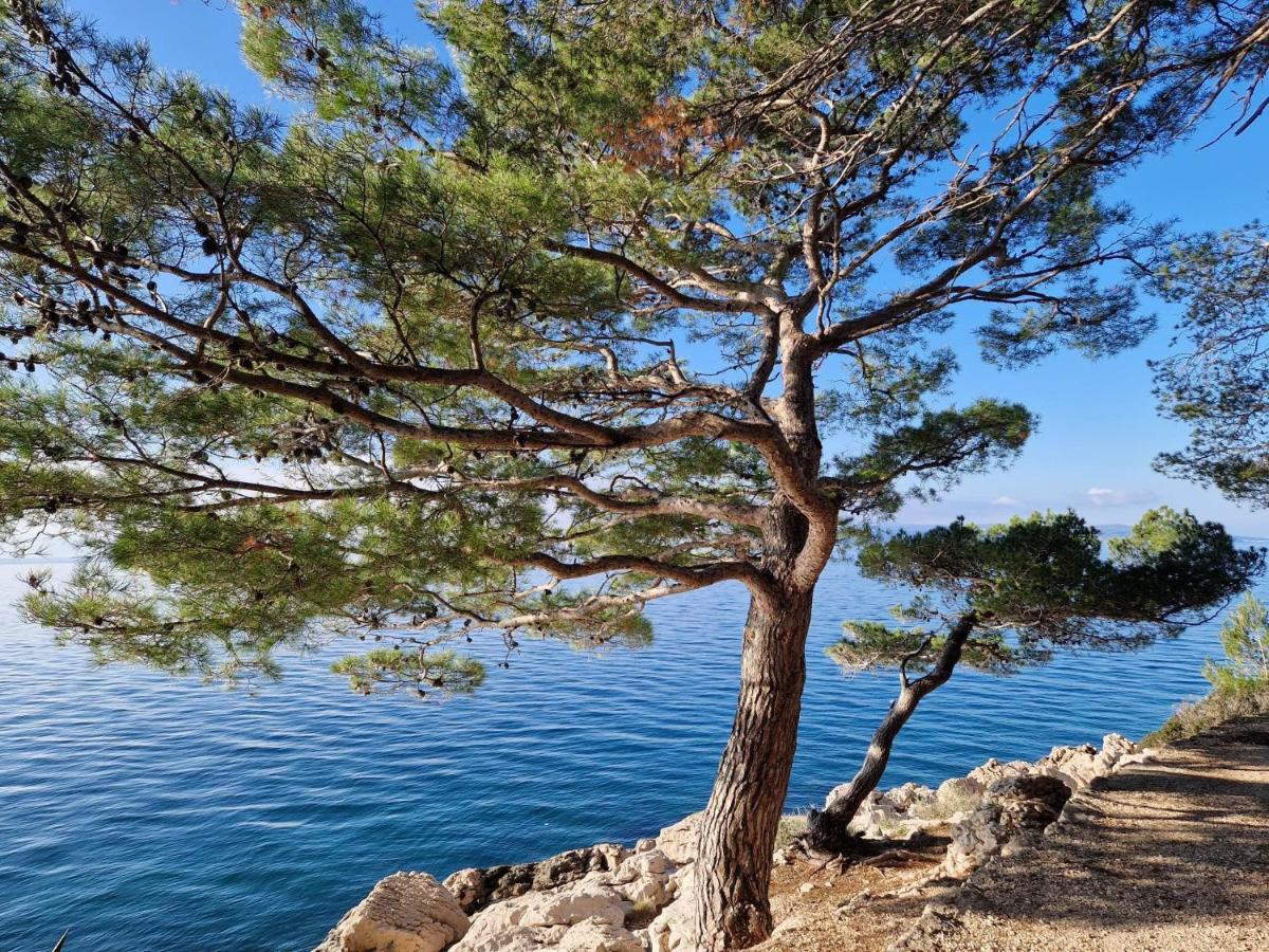 Apartment Villa Mirna Makarska Exterior foto