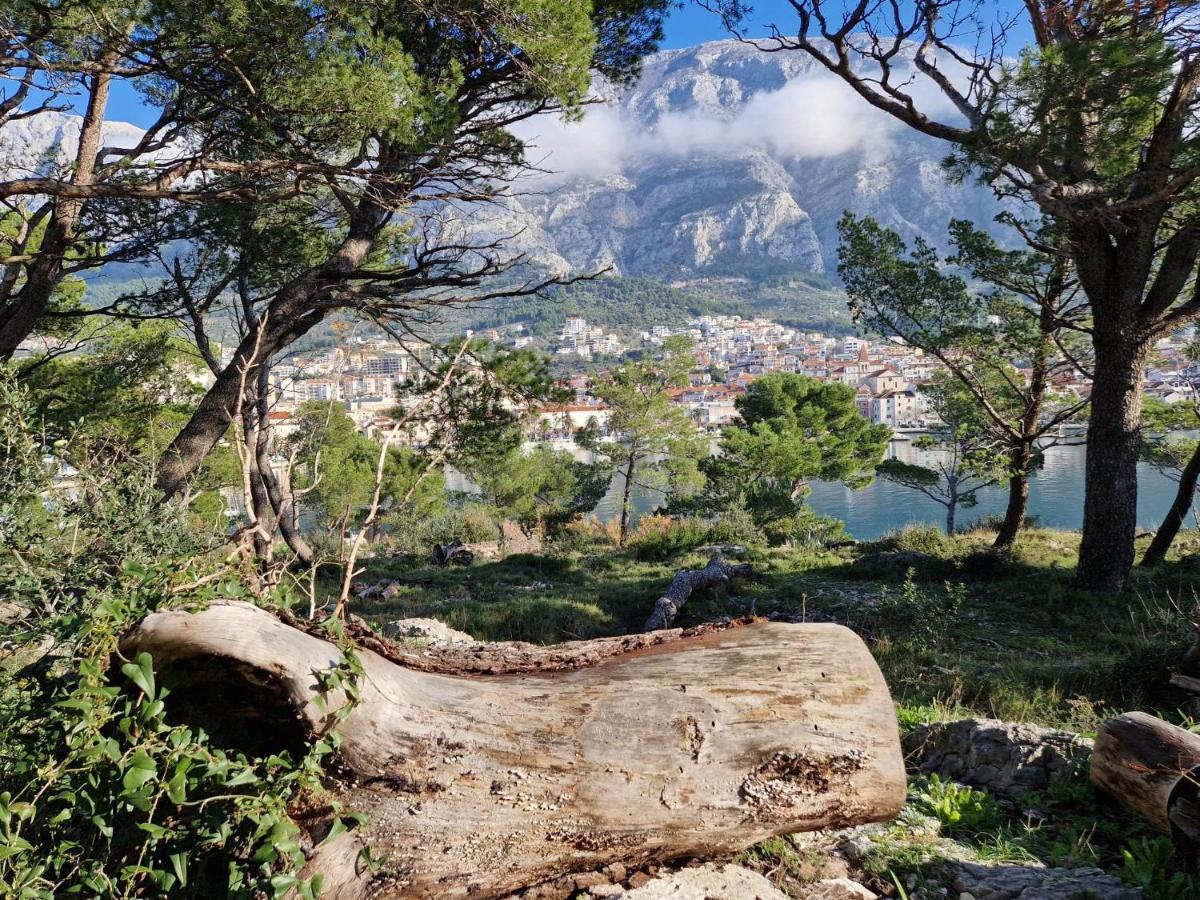 Apartment Villa Mirna Makarska Exterior foto